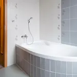 Lipovka 3*